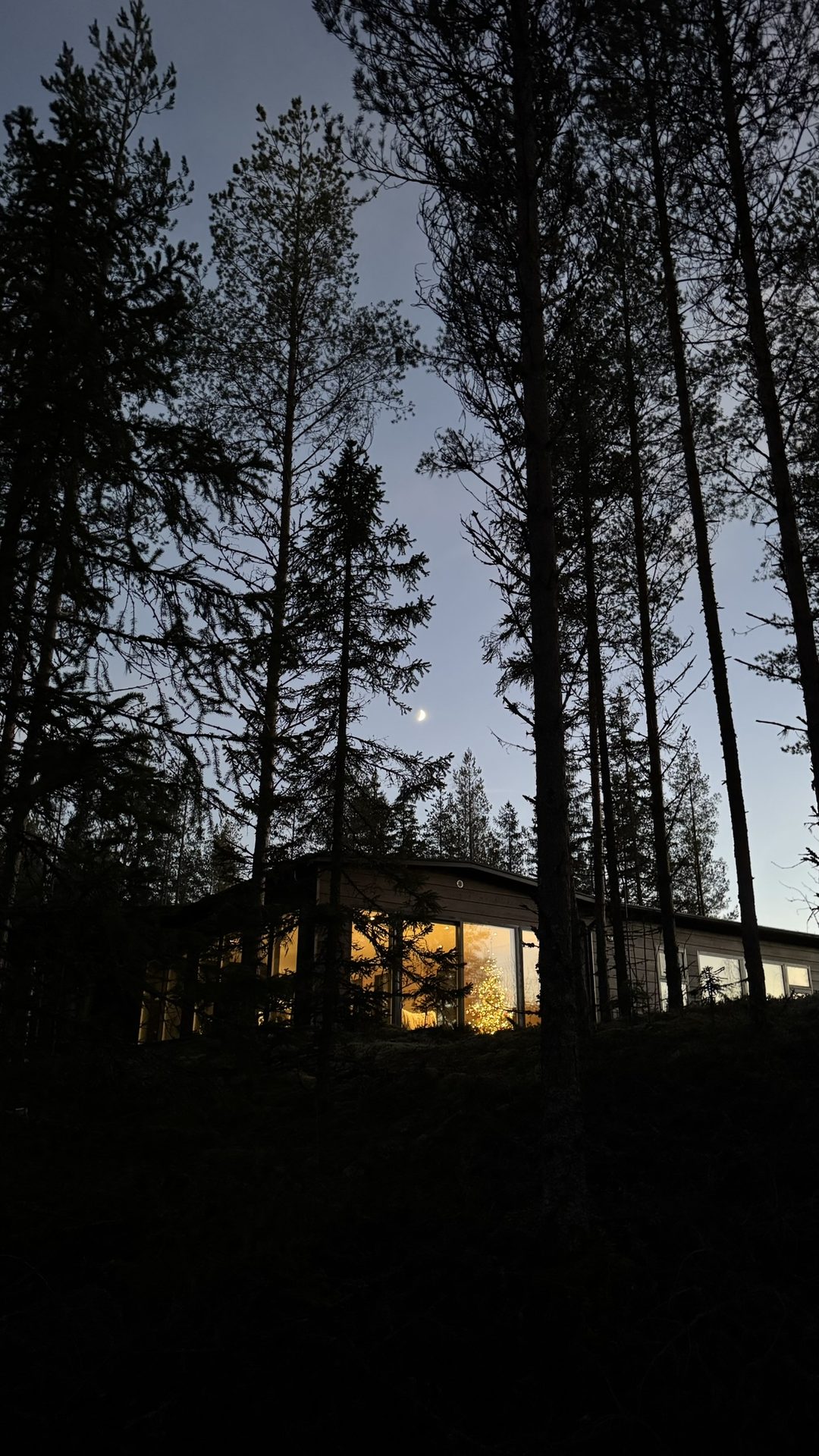 Haus