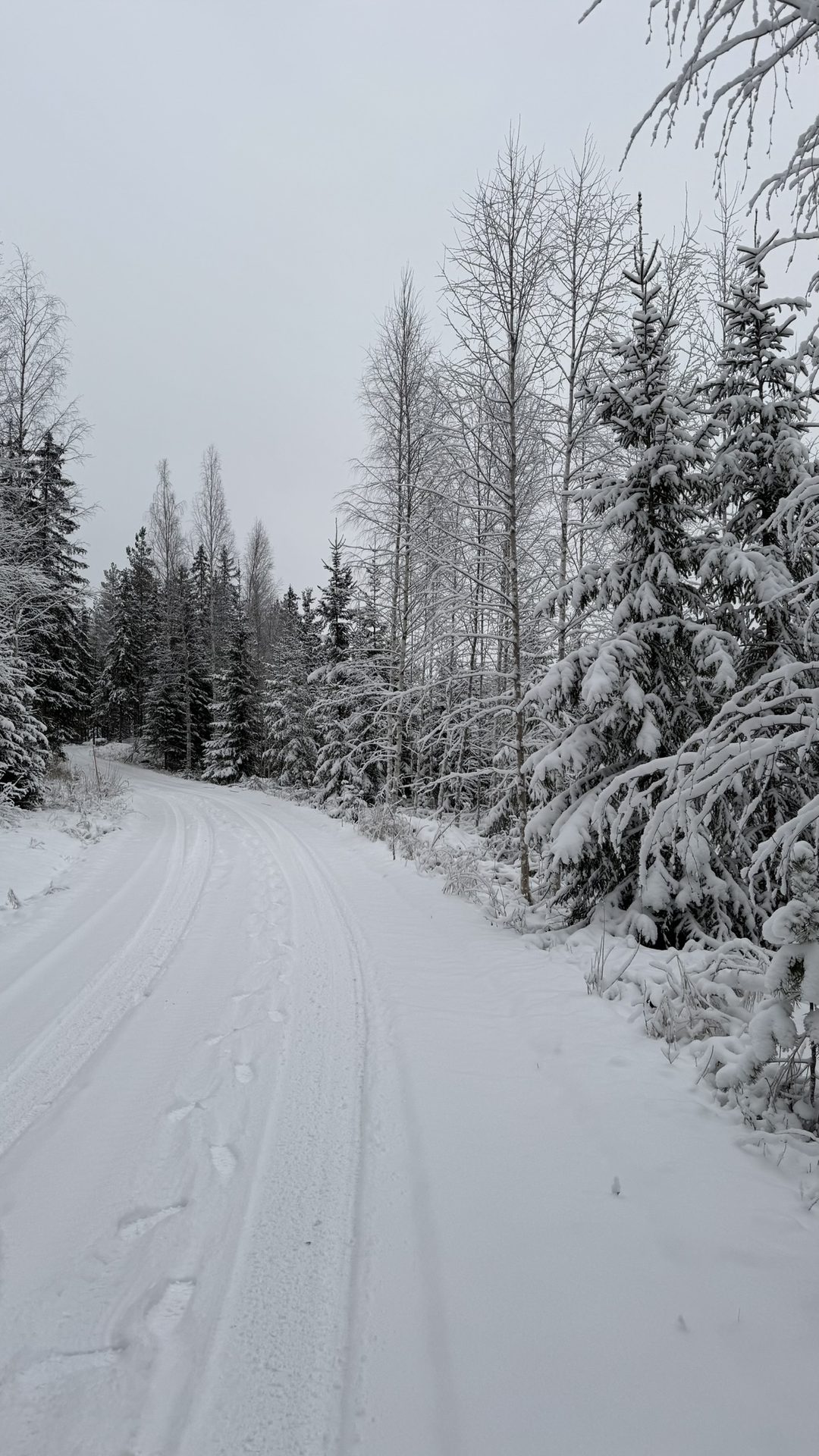Natur