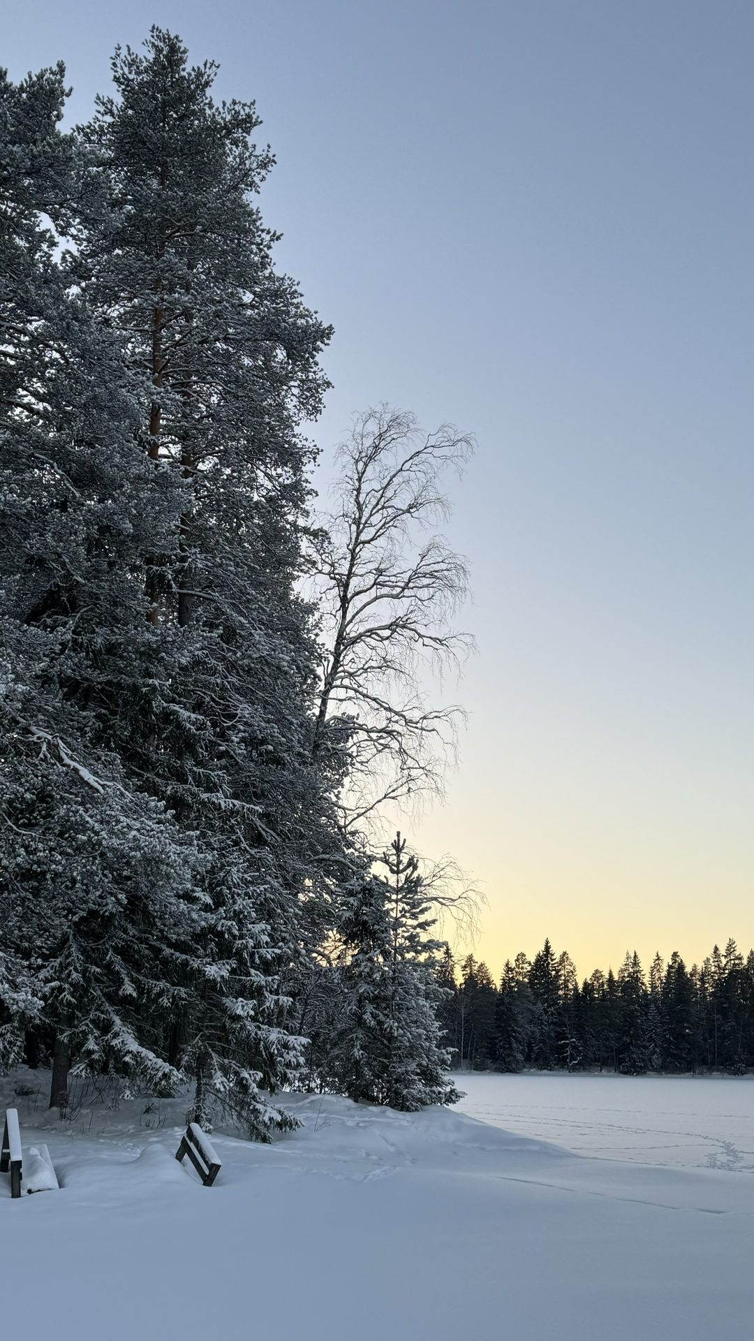 Zugefrorener See Winter