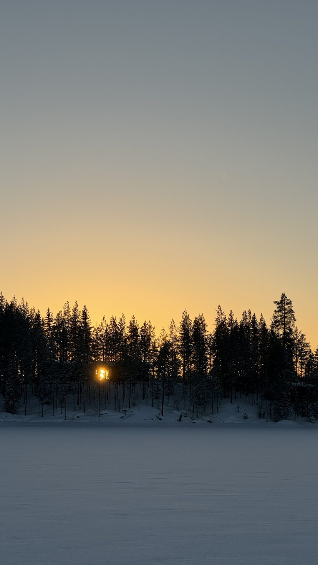 See Winter